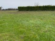 Champagne Vente Terrain 17