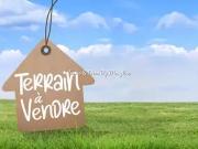 Champigny sur Marne 94500 Achat / Vente terrain