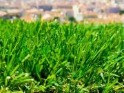 Champigny sur Marne Vente Terrain 94