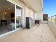 CHAMPION GRAU DU ROI