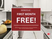 Champlain Towers 1 Bedroom Apartment for Rent