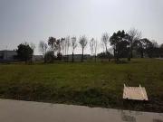 Champtoceaux 49270 Programme neuf terrain neuf à vendre