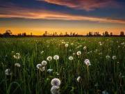 Champvoux 58400 Programme neuf terrain neuf à vendre