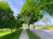 Chanab Block 50x90 Plot For Sale