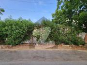 CHANCE DEAL 1000 YARDS Divisible Plot Ideal For Jori...