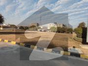 Chance deal near gt road