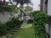CHANCE DEAL Slightly Used 500 Yard West Open Bungalow...