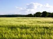 Chanceaux sur Choisille 37390 Programme neuf terrain...