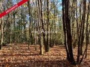 Chancelade Vente Terrain 24