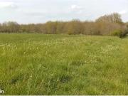 Chaource 10210 Programme neuf terrain neuf à vendre