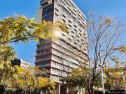 Chapultepec Distrito Renta