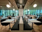 Chapultepec l Roma Norte Chapultepec l Roma Norte