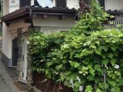 Charakteristisches renoviertes Rustiko mit Kamin und...