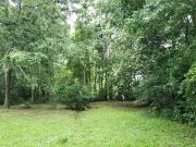 Charleston Rd, Tallahassee, Plot For Sale