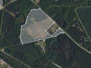 Charleston St, Williston, Plot For Sale