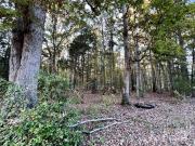 Charlotte Hwy, Lancaster, Plot For Sale