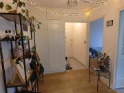 Charmant appartement de 1 pièce