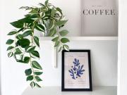 Charmant coliving à deux pas du Metro B