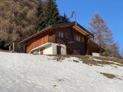 Charmant Mayen avec Vue Magnifique à La Tzoumaz | dreamo. Ch