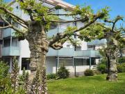 Charmant T3 avec terrasse Sud, cave et pkg sous sol au calme