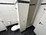 Charmante 2 Raum Dachgeschosswohnung mit Balkon und...