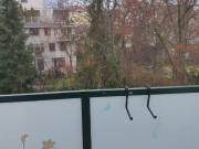 Charmante 2 Zimmer Wohnung 2 Balkone Grünblick Preishit!