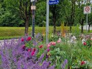 Charmante 3 Zimmer Dachgeschoss Wohnung mit kleinem...