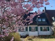 Charmante Doppelhaushälfte im fränkischen Stil mit...