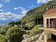 Charmante maison à Piedicorti