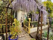 Charmante maison en pierre avec vie de plain pied