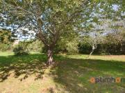 ? Charmante maison spacieuse à Saint Romain, dans la...