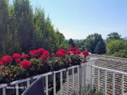 Charmante Maisonette Wohnung mit Südterrasse, Weitblick...