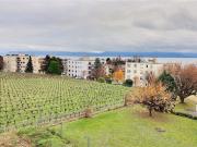 Charmante, rentenfreie Lebensrentenwohnung, ideal...