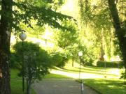 CHARMANTE WOHNUNG FÜR SINGLES AN RUHIGER LAGE MIT...