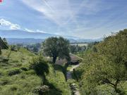 Charmanter Wohnhit mit sonnigem Balkon!