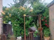 Charmantes Altbau Mehrfamilienhaus in attraktiver Lage