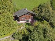 CHARMANTES CHALET AUF DER SONNENSEITE UND MITTEN IM...