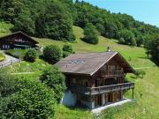 Charmantes Chalet mit Panoramablick auf die Dents du Midi