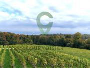 Charmantes Familienanwesen mit freiem Blick in grüner...