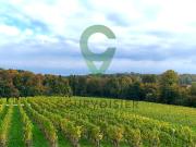 Charmantes Familienanwesen mit freiem Blick in grüner...