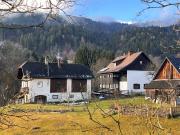 Charmantes Massivhaus in Grünburg mit Grünblick,...