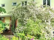 Charmantes Reihenhaus in der Waldsiedlung in Zehlendorf