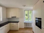 Charming 10 room house for rent in Hägendorf