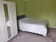 Nice 1 bedroom house share for rent in Jerrys Lane,...