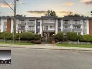 Unique 2 BR Apartment for rent in Coquitlam, Coquitlam,...