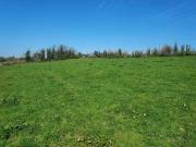 Cozy Annaduff, Carrick on Shannon, Leitrim Cozy Annaduff, Carrick on Shannon, Leitrim