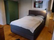 charming apartment close to the Neckar river