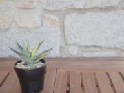 Charming Downtown Delight I