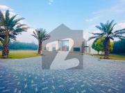 Charming Farm House On Bedian Road NERA DHA PHASE 6