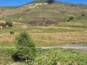 Rental! Farm land for rent in Approximately 452 acres of...